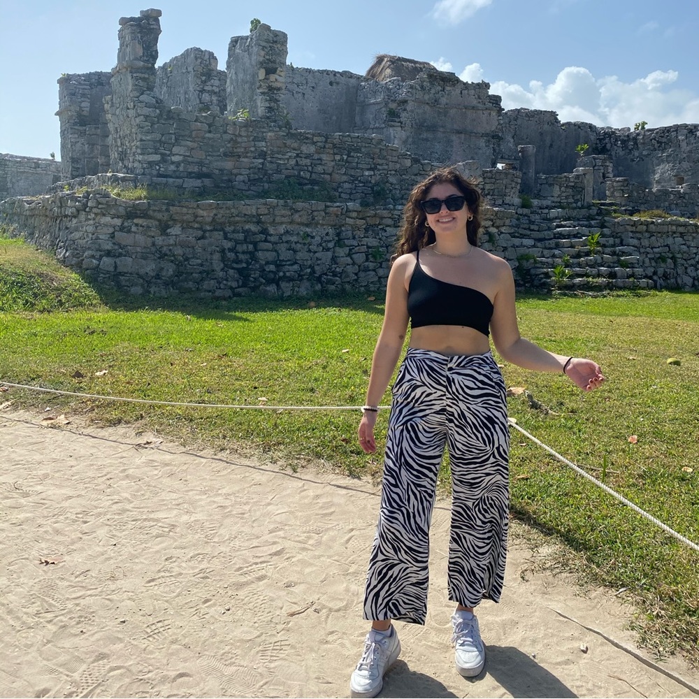 Zebra soft pants